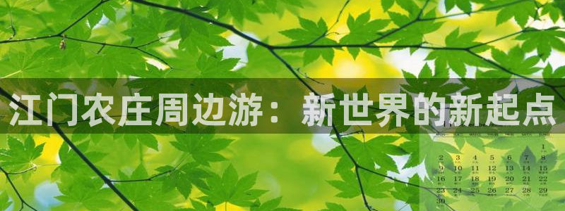 fh至尊平台网页地址
