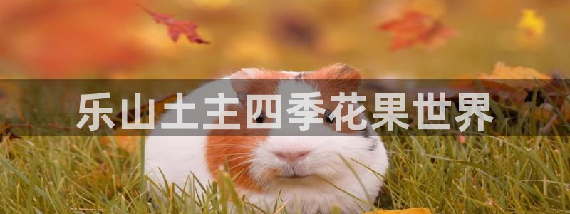 FH-FH至尊版的功能