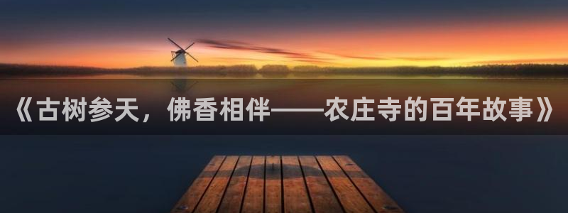 FH至尊是正规平台吗