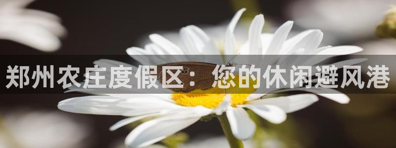 fh至尊平台APP