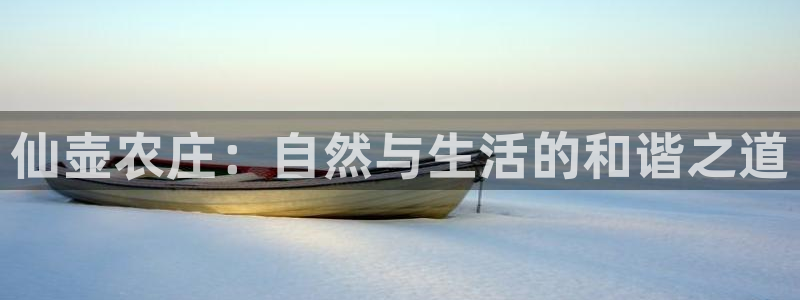 FH至尊VIP