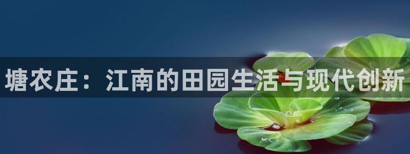 fh至尊在哪可以下载
