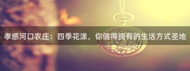 fh至尊什么意思
