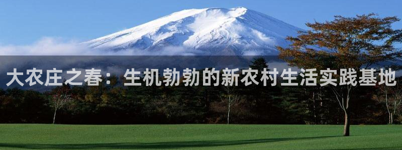 fh至尊游戏代理