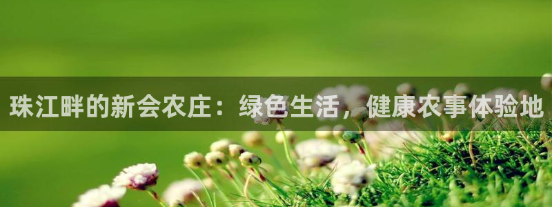 fh至尊凤凰是黑网