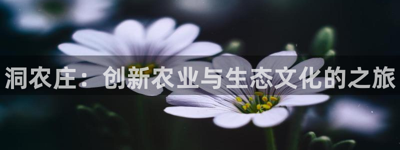 fh至尊诚信19年