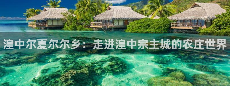 fh至尊是不是假的