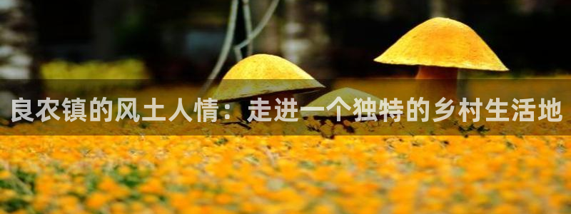 沃尔沃fh500至尊款