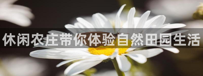 fh凤凰至尊贴吧