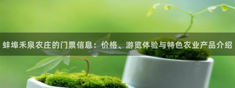 fh至尊20