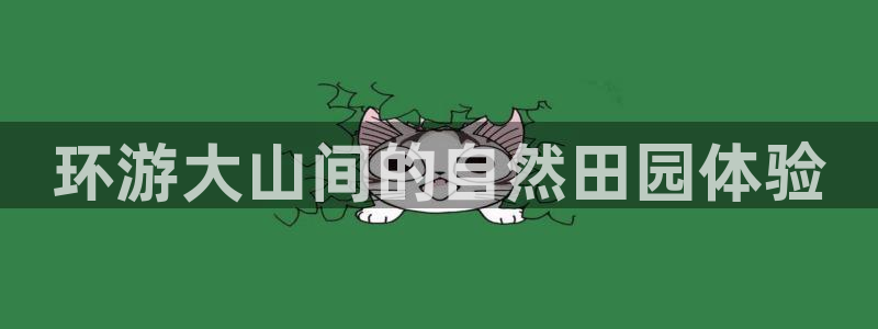 fh至尊游戏客服