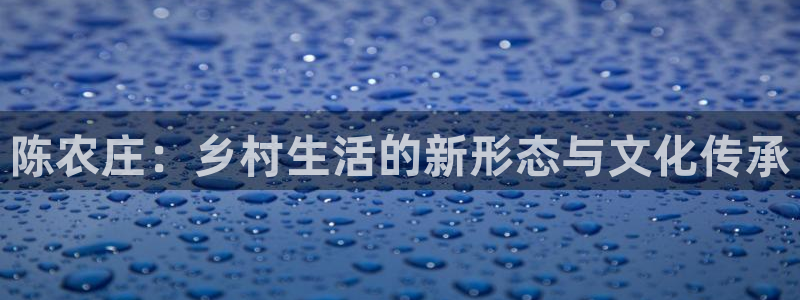 fh至尊手机端进不去