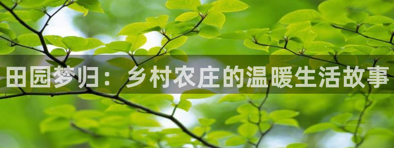 fh至尊注册码怎么获取