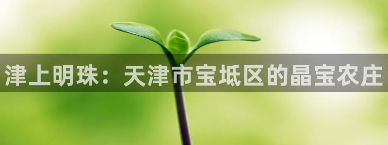 fh至尊是凤凰平台吗