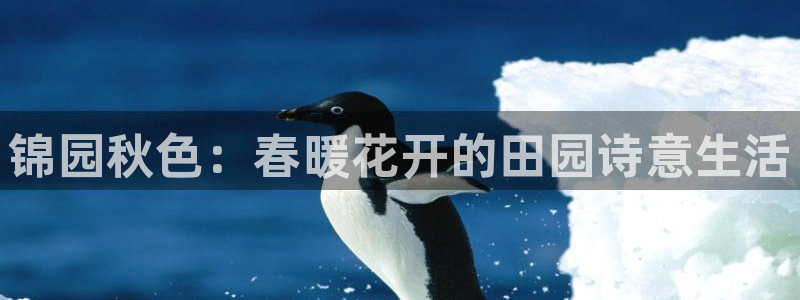 fh至尊平台下载