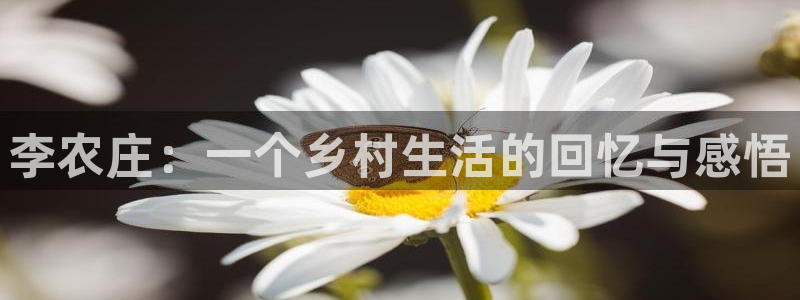 fh至尊平台怎么打不开了呢