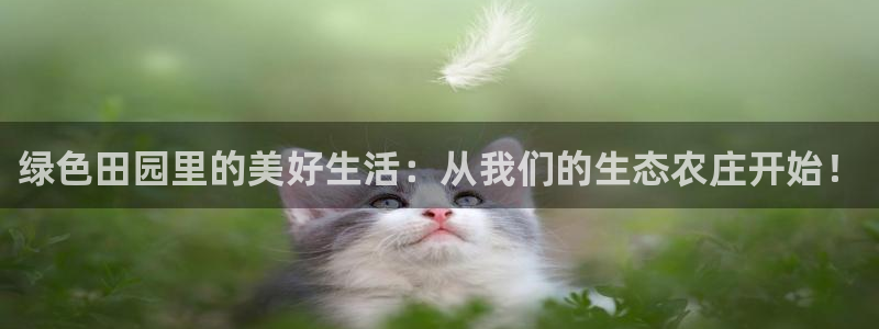 fh至尊凤凰平台下载