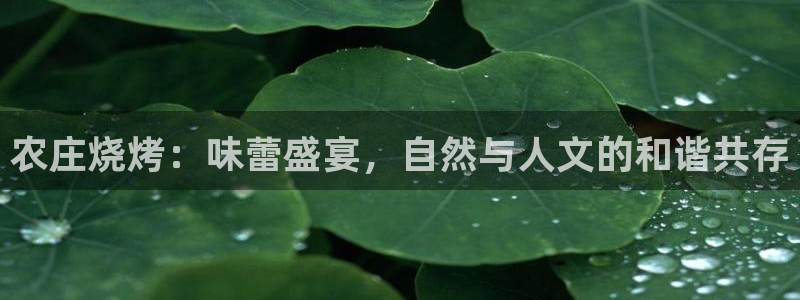 fh至尊平台多少年了