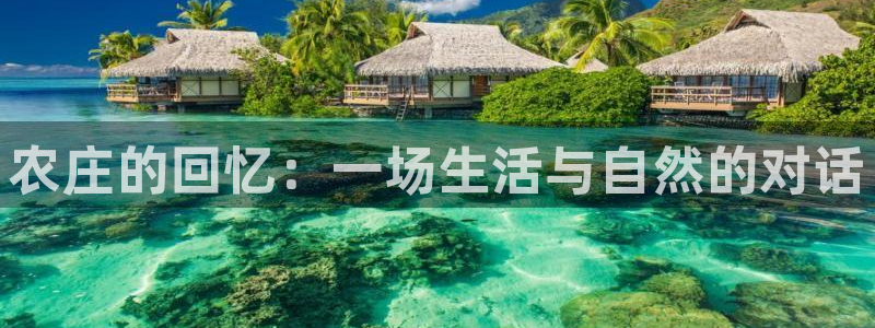 FH至尊联盟