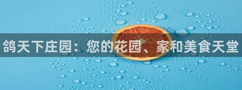 fh至尊游戏代理