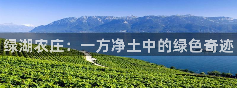 fh至尊平台玩的人多吗