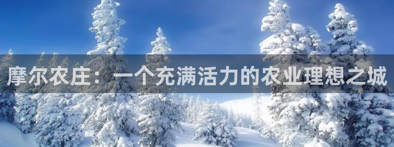 FH至尊平台登录