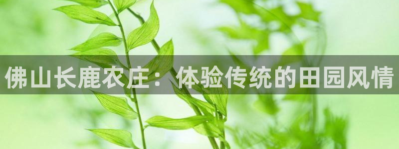 FH至尊开户链接