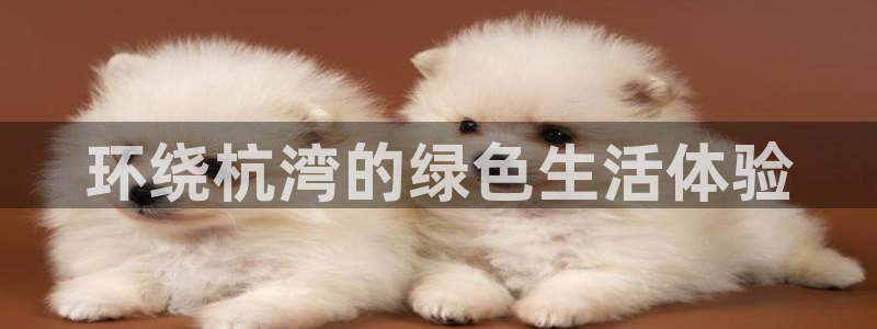 fh至尊平台简介
