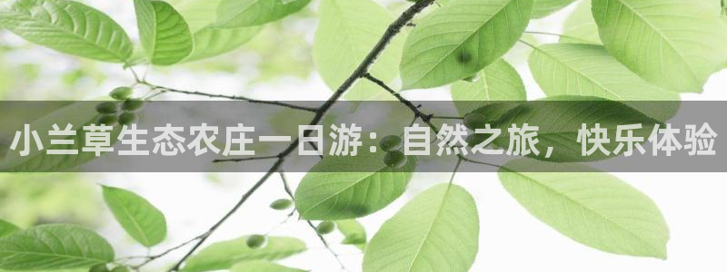 fh凤凰至尊平台